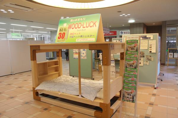 ベッドロビー展示2