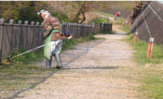 公園草刈り支援