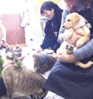 青木さやかさんの動物愛護活動の様子