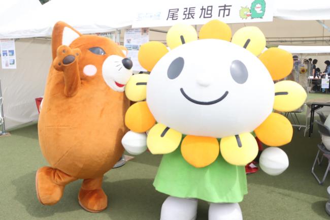 あさぴーといなりん
