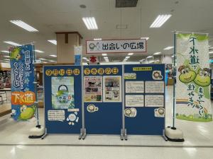 R6展示①