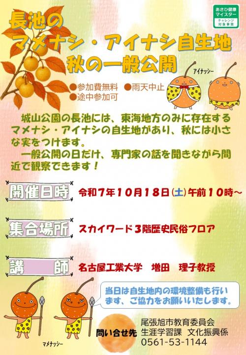 チラシ