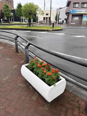 スポット