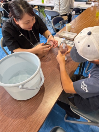 わくワークショップ（浮沈子）