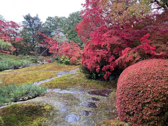 どうだん亭（紅葉）の画像