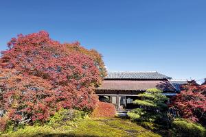 どうだん亭が国の登録有形文化財に登録