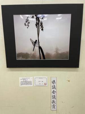 県議会議長賞写真