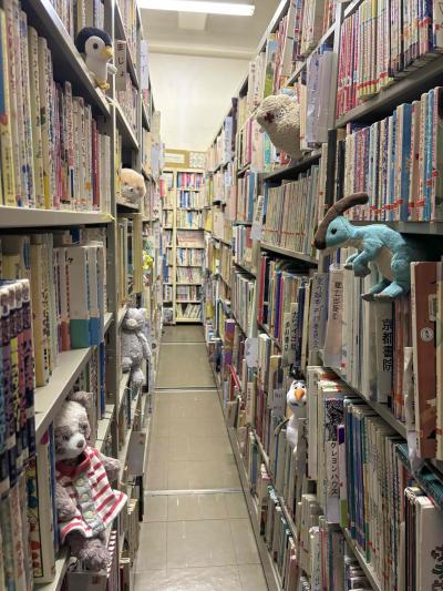 ぬいぐるみのおとまり会　閉架書庫