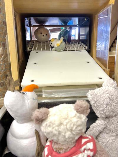 ぬいぐるみのおとまり会　セルフ返却機