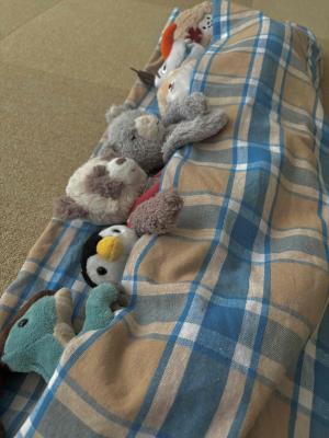 ぬいぐるみのおとまり会　おやすみ