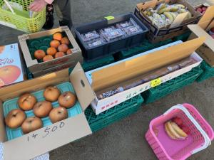 年末に向けた商品