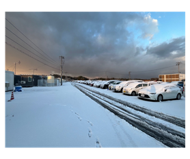 初雪時の積雪の様子