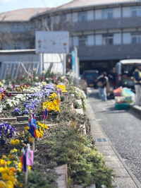 青空市花壇