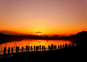維摩池の初日の出