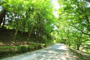 森林公園散策路