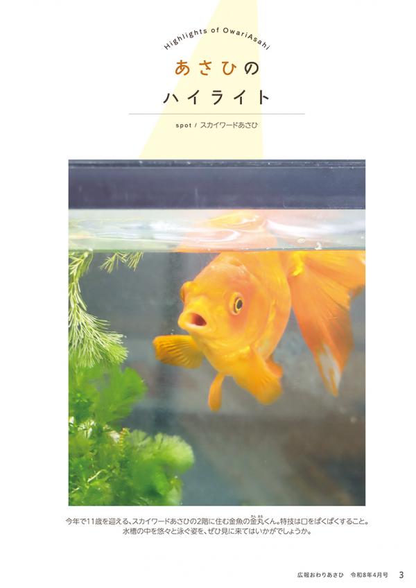 広報おわりあさひ4月号3ページ