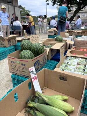 夏野菜とくだもの