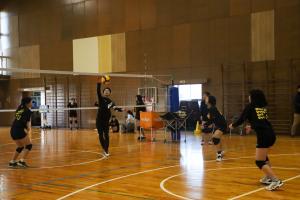 実証実験バレーボール