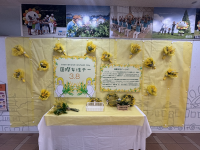 女性デー展示