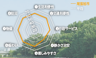 レーダーチャート