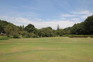 森林公園
