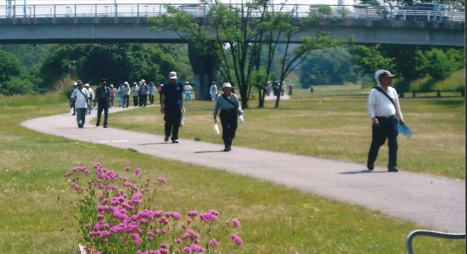 矢田川ウォーキング風景