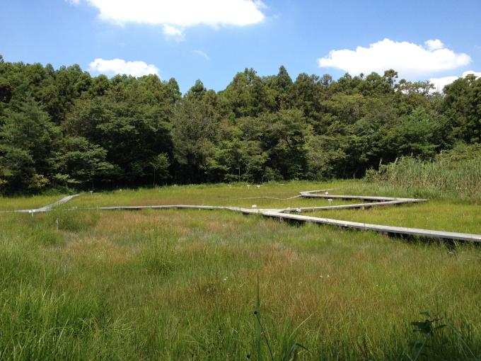 吉賀池全景