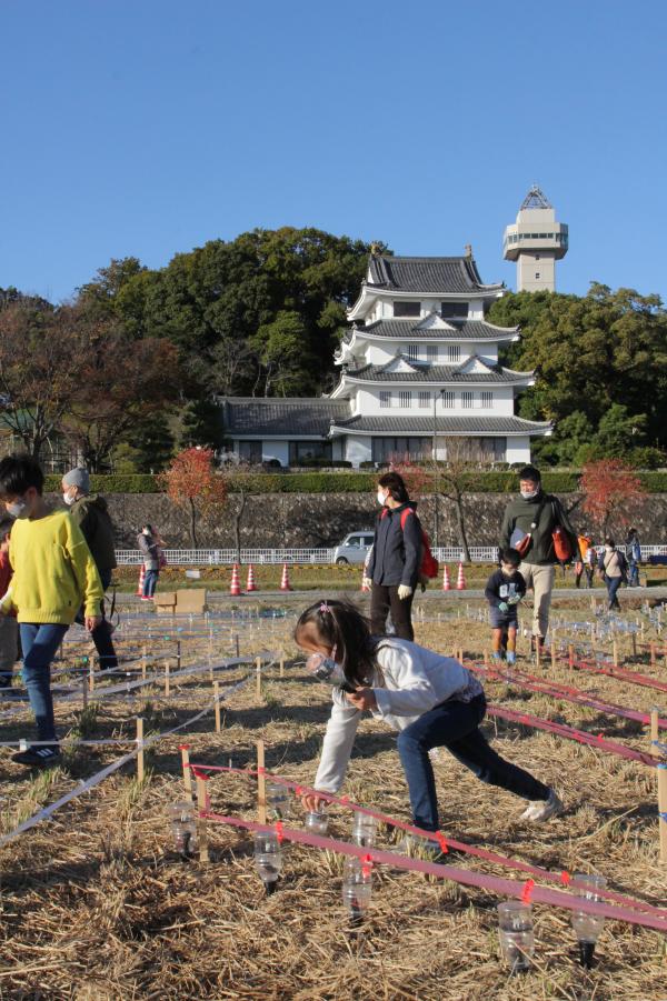 「ユメの苗」植えイベントの画像2