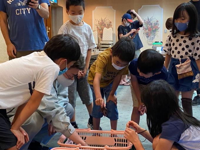 市内に住んでいる生き物の観察の画像