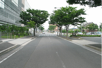 基盤整備により整備された道路の画像