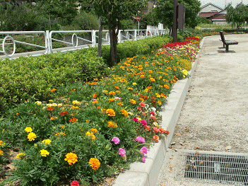 公園愛護会により整備された花壇の画像