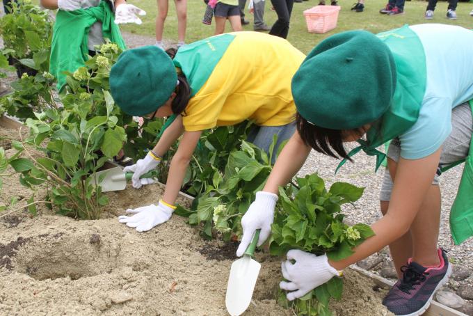 植樹イベントの画像