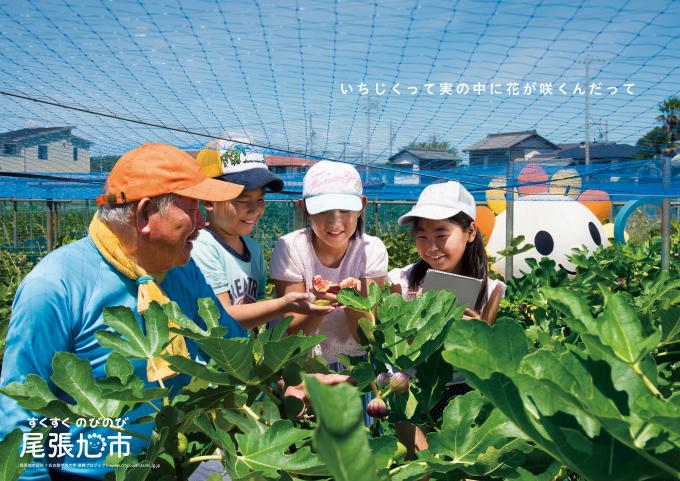 いちじくって実の中で花が咲くんだっての画像