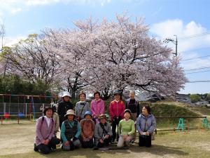 満開の桜の前で集合写真