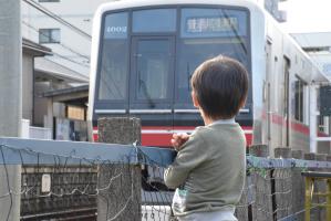 電車パークで電車を眺める子供の写真